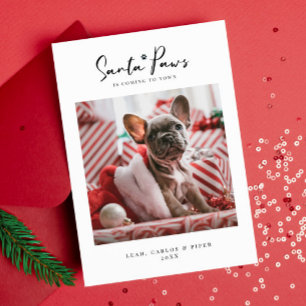 Pet Christmas Photo Card "Santa Paws" Flat Card