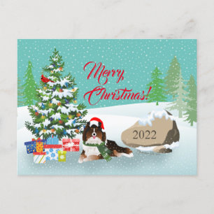 Pet Christmas Tree with Black Sheltie Holiday Postcard