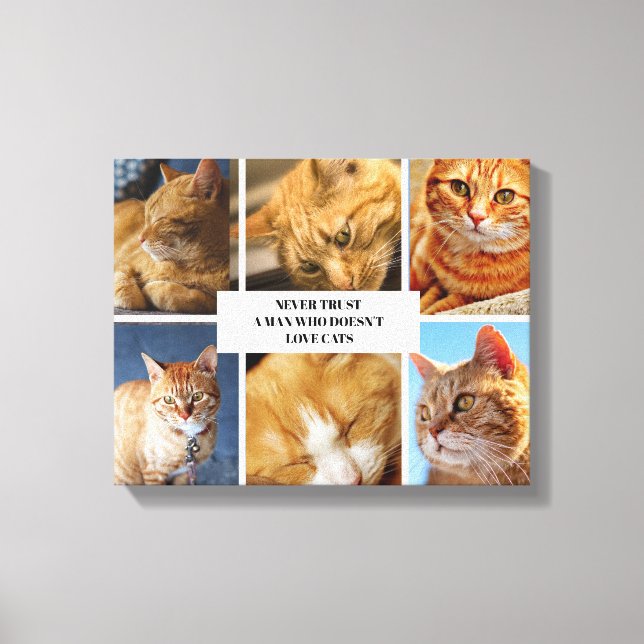  Pet Collage Photo Modern Cat Quote Canvas Print (Front)