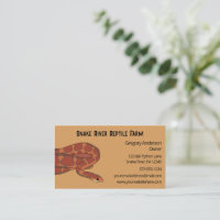 Pet Corn Snake Reptile Breeder