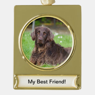 Pet Custom Banner Ornament - Gold Tone