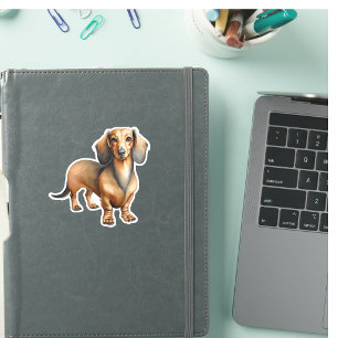 Pet Dachshund Brown