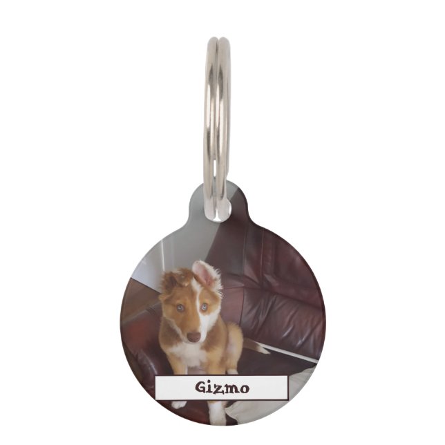 Pet Details and Photo Tag (Front)