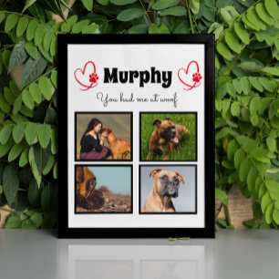 Pet dog 4 photo collage customise plaque