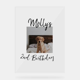 Pet dog cat animal birthday photo modern simple acrylic sign