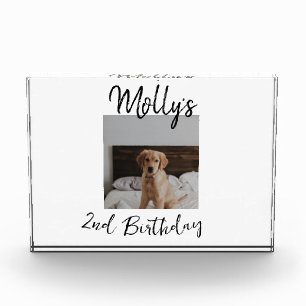 Pet dog cat animal birthday photo modern simple  block