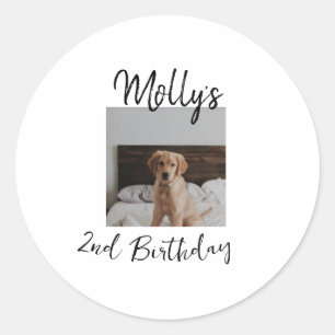Pet dog cat animal birthday photo modern simple classic round sticker