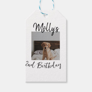 Pet dog cat animal birthday photo modern simple gift tags