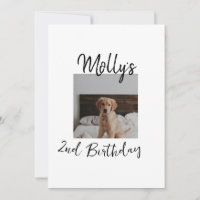 Pet dog cat animal birthday photo modern simple 