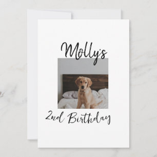 Pet dog cat animal birthday photo modern simple  invitation