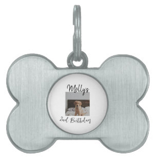 Pet dog cat animal birthday photo modern simple pet ID tag
