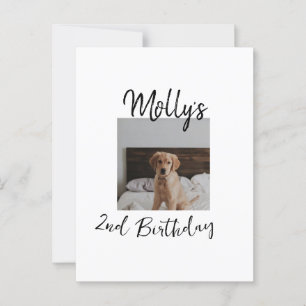 Pet dog cat animal birthday photo modern simple postcard