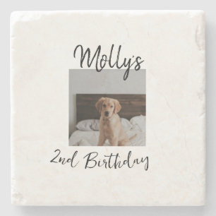 Pet dog cat animal birthday photo modern simple  stone coaster