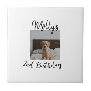 Pet dog cat animal birthday photo modern simple tile