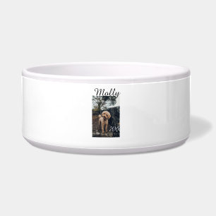 Pet dog cat animal birthday photo modern year date