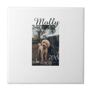 Pet dog cat animal birthday photo modern year date tile