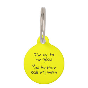 Pet Dog Cat Funny Humour ID Fluorescent Pet Tag