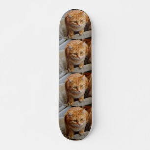 Pet Dog Cat Photo Custom Tiled Template Skateboard