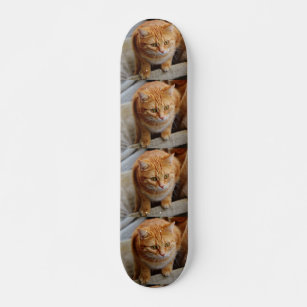 Pet Dog Cat Photo Custom Tiled Template Skateboard