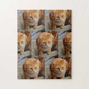 Pet Dog Cat Photo Fun Personalise Custom Jigsaw Puzzle