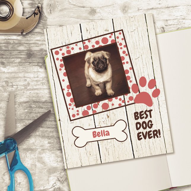Pet Dog Girl Photo Scrapbook Cardstock Paper (Creator Uploaded)