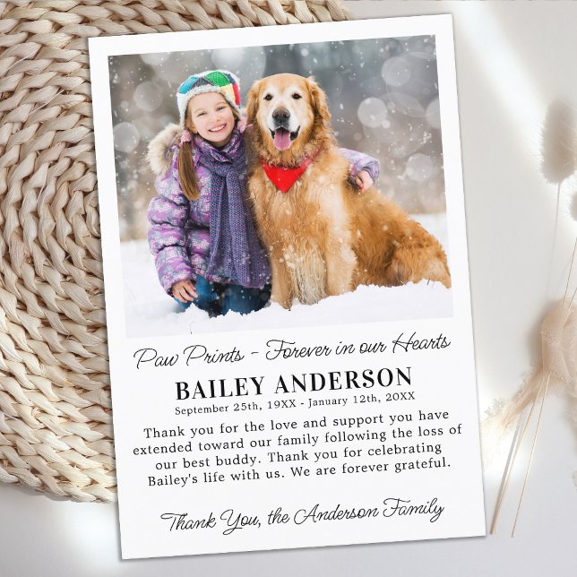 Pet Dog Memorial Modern Custom Photo Sympathy  Thank You Card (Creator Uploaded)