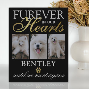 Pet Dog Memorial Photo Keepsake Plaque