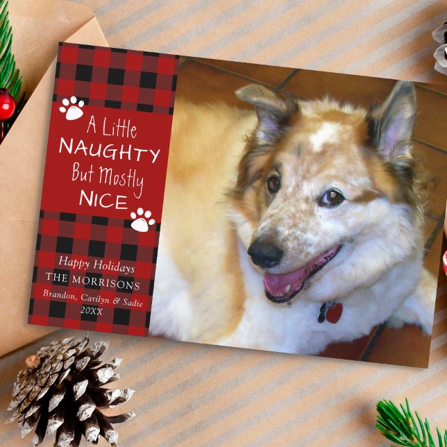 Pet Dog Naughty and Nice Red Black Plaid Holiday Card (Creator Uploaded)