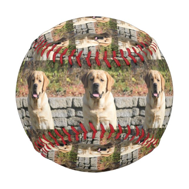 Pet Dog Photo Baseball (Front)