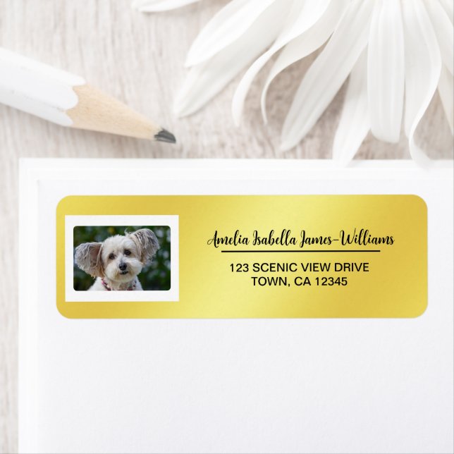 Pet Dog Photo Elegant Modern Return Address Golden (Insitu)