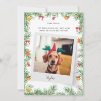 Pet Dog Photo Naughty or Nice Custom Christmas