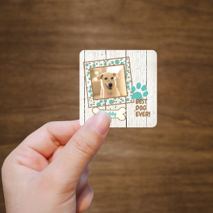 Pet Dog Photo Scrapbook Square Sticker