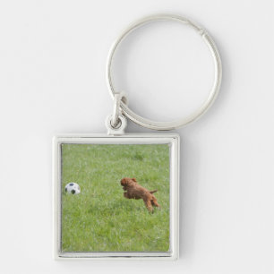 Pet dog running after football in park key ring