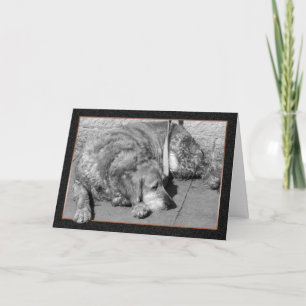 Pet Dog Sympathy Card
