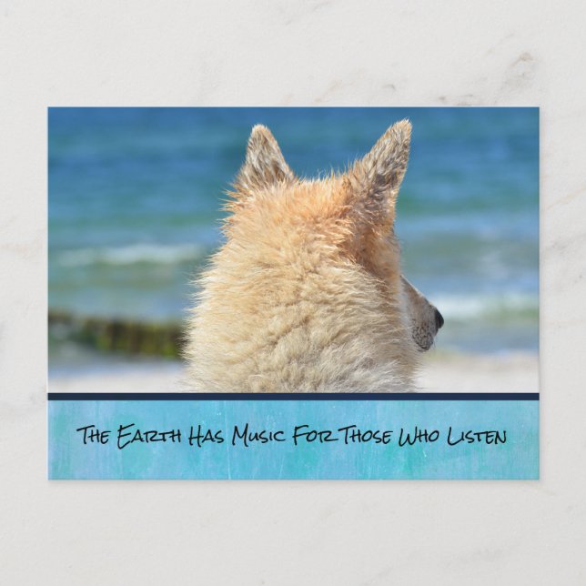 Pet Dog With Inspirational Message Postcard (Front)
