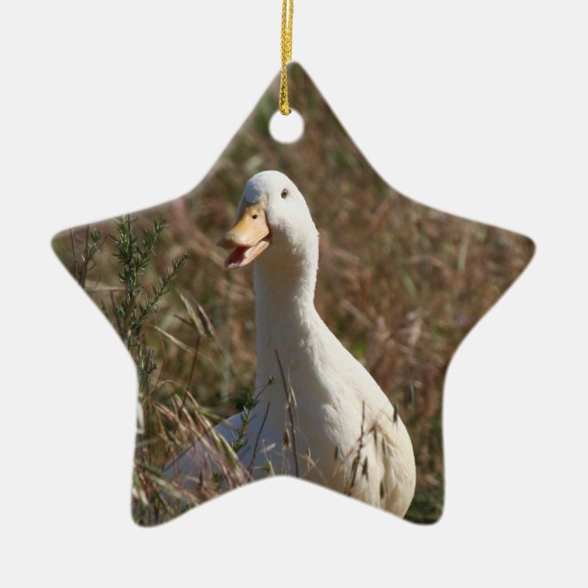 Pet Duck Ornament (Front)