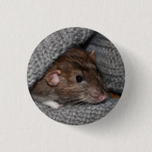 Pet Dumbo Rat Button / Badge