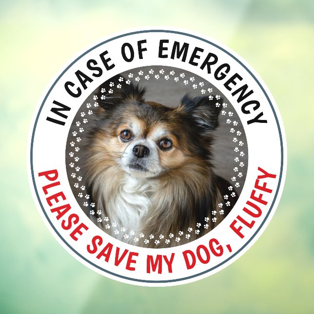 Pet Emergency Alert Custom Photo Name Safety (Sheet 3)