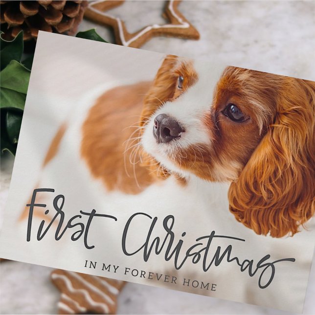 Pet First Christmas in Forever Home Photo Holiday Postcard (Creator Uploaded)