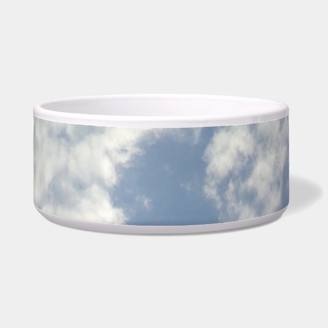 PET FOOD BOWL DESIGN STYLE  (Front)
