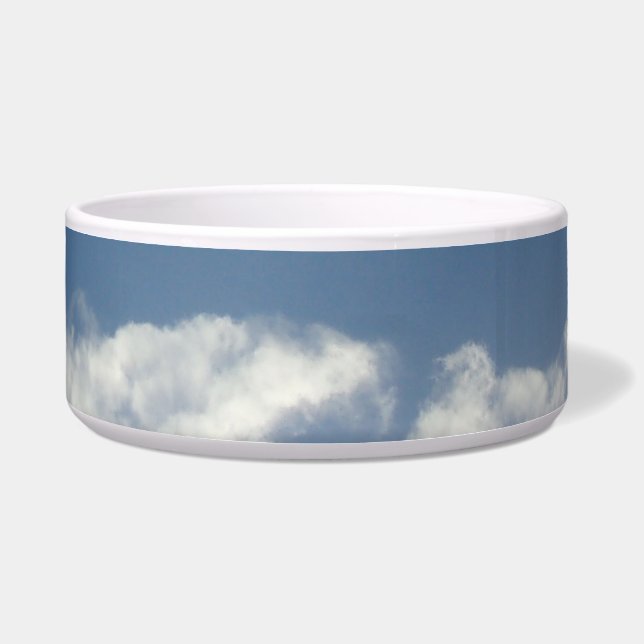 PET FOOD BOWL DESIGN STYLE  (Front)