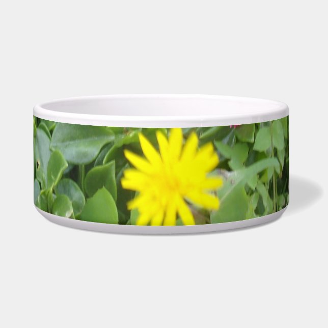 PET FOOD BOWL DESIGN STYLE  (Front)