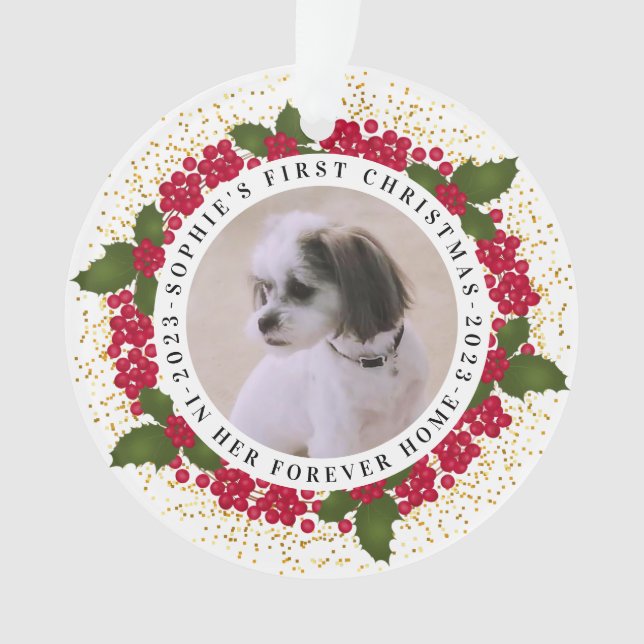 Pet Forever Home First Christmas Ornament (Front)