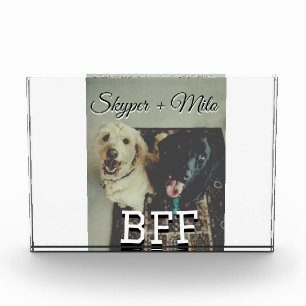Pet friends besties add name pet photo animal love
