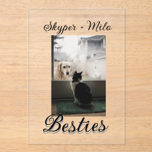 Pet friends besties add name pet photo animal love acrylic invitations