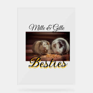 Pet friends besties add name pet photo animal love acrylic sign