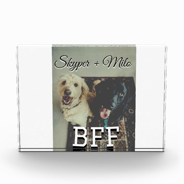 Pet friends besties add name pet photo animal love block (Front)