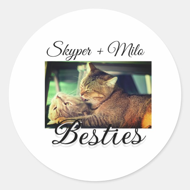 Pet friends besties add name pet photo animal love classic round sticker (Front)