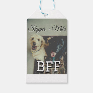 Pet friends besties add name pet photo animal love gift tags
