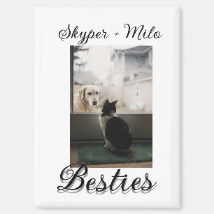Pet friends besties add name pet photo animal love magnet